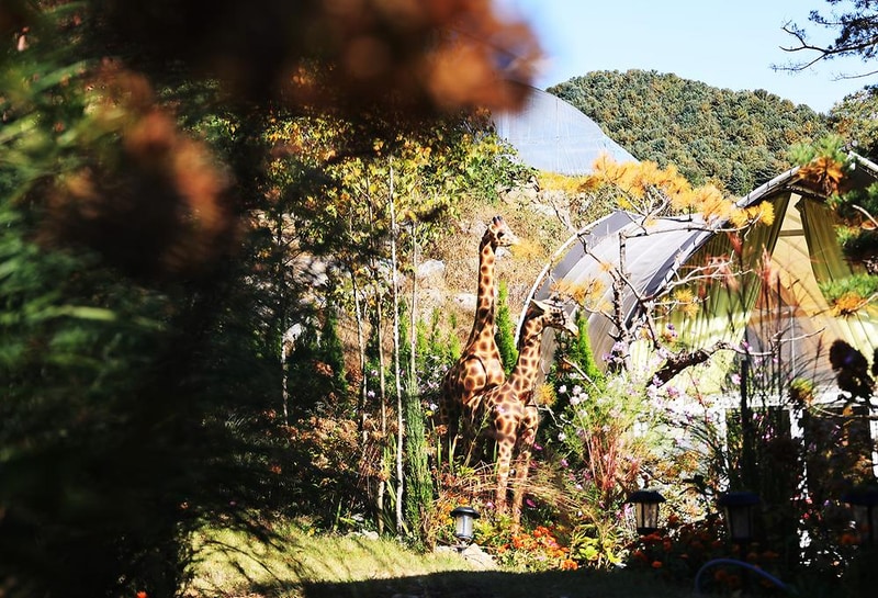 힐링캠프 제이앤엘(J&L) 시설 사진 19