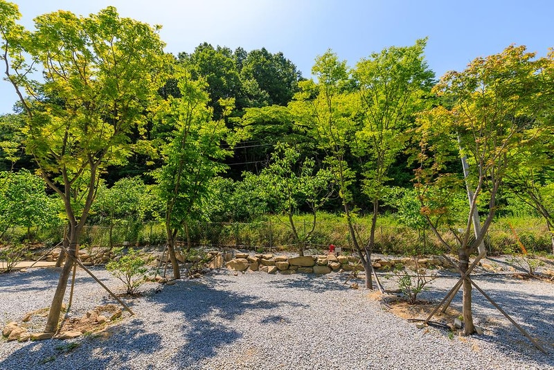 은하수 관광농원 시설 사진 8