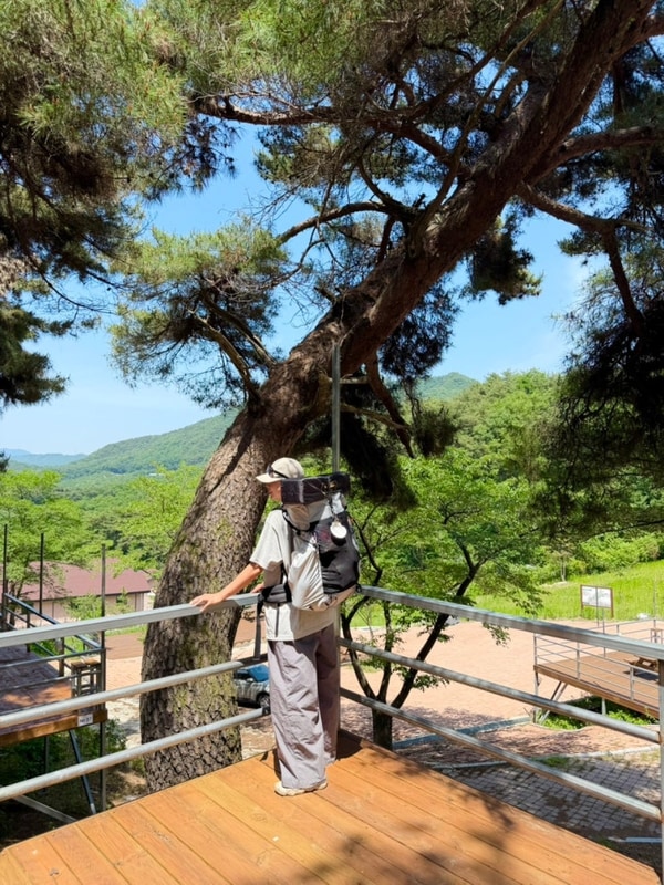 늘 푸른 사랑농원