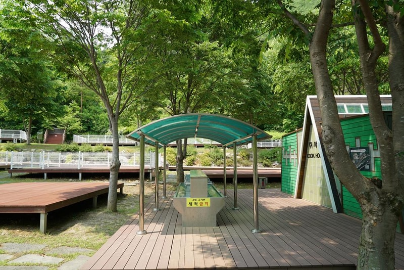 정선군생태체험학습장야영장 펫 동반 캠핑장 시설 사진 63