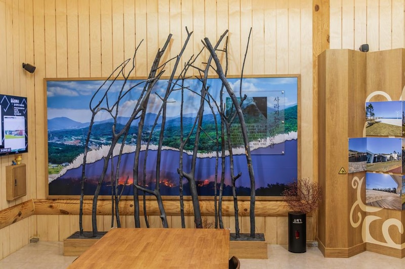 망상오토캠핑리조트 시설 사진 44