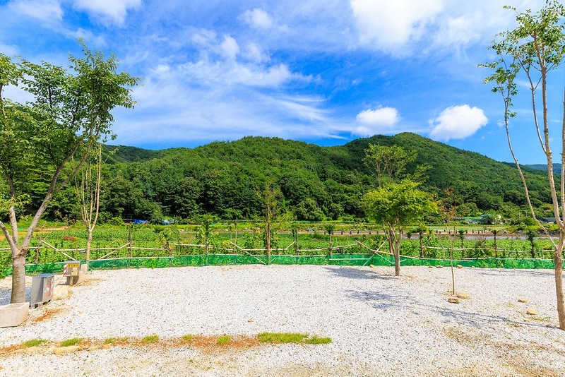 양지뜰캠핑장 시설 사진 15