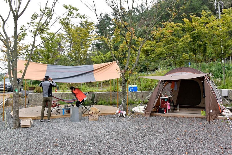 한별 도그파크 시설 사진 4