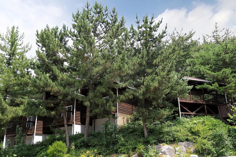 매화둠벙마을영농조합법인 시설 사진 2