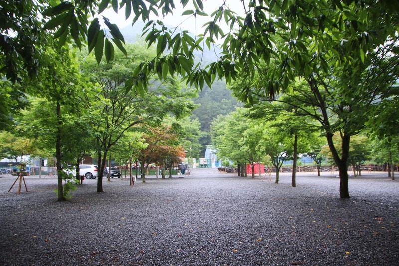 두산 캠핑장 시설 사진 15