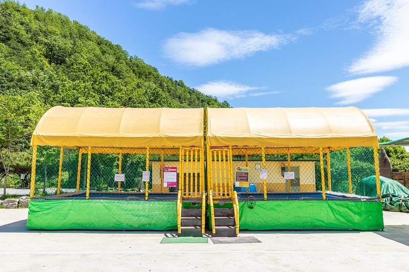 행화촌자연테마파크 시설 사진 1