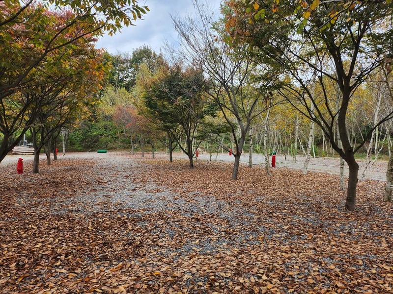 나무와 쉬리 시설 사진 17