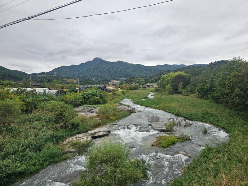 리틀 포레스트 캠핑 시설 사진 24