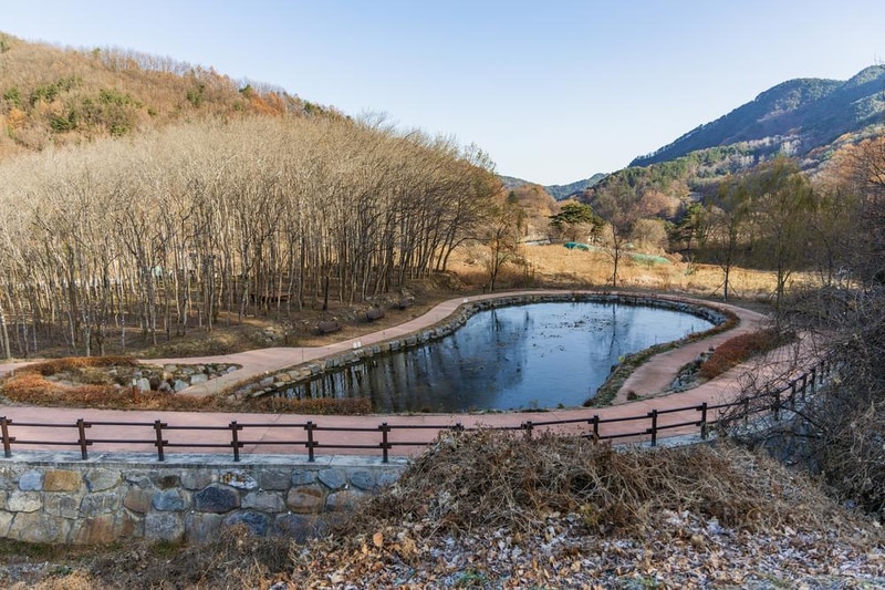 가야산오토캠핑장 시설 사진 5