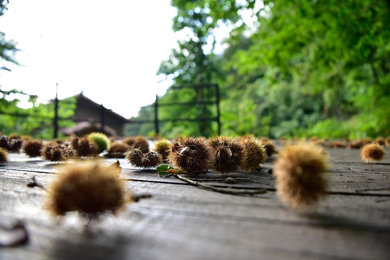 호명산 캠프 시설 사진 12