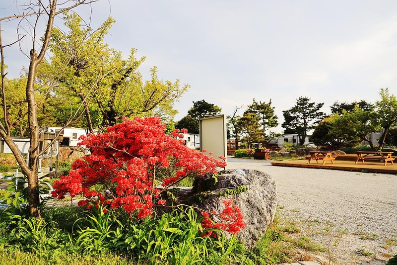 와우파크 시설 사진 3