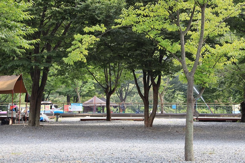 뉴힐링캠프 시설 사진 11