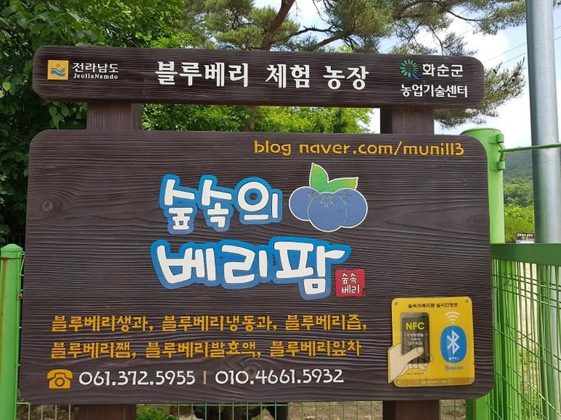 숲속의베리팜 시설 사진 28