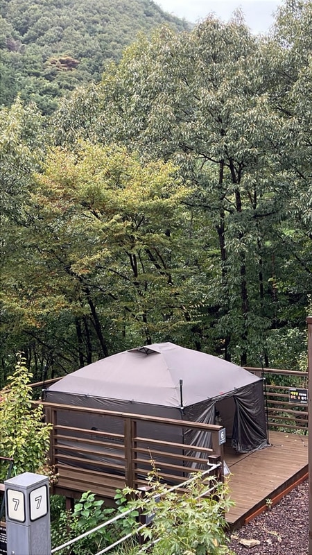 밀양 도래재 자연휴양림 야영장 대표 사진