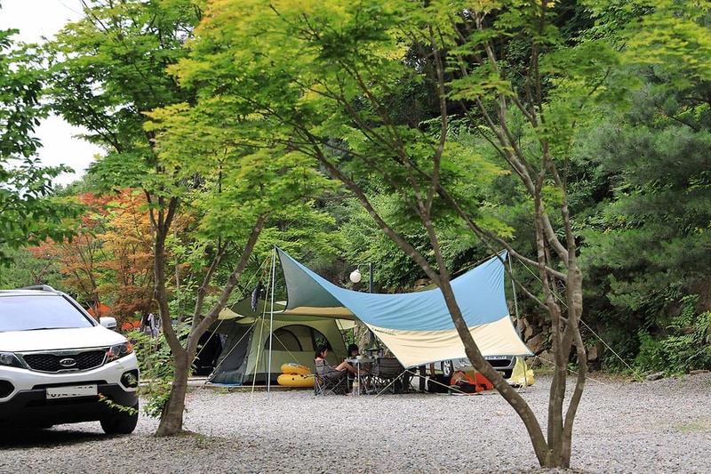 포시즌캠핑장 시설 사진 5