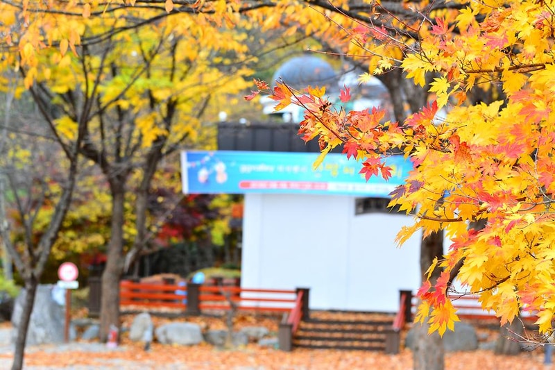 지지벨리 유명산 오토캠핑장 시설 사진 7