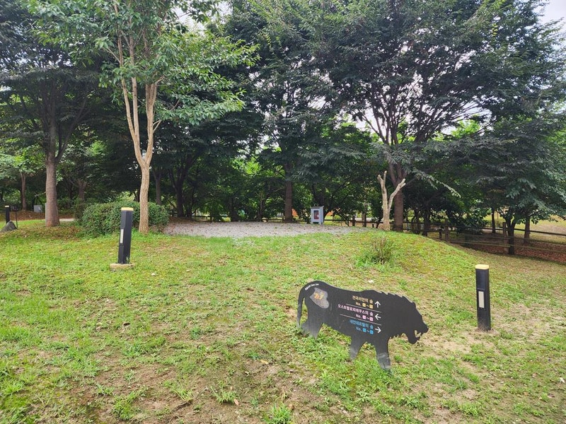 연천 전곡리유적 구석기 체험숲 시설 사진 17