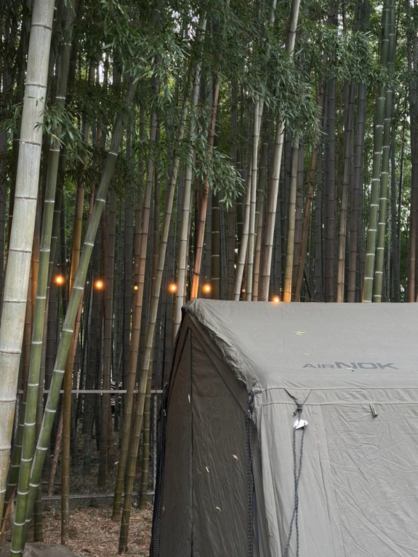 담양대나무골캠핑장