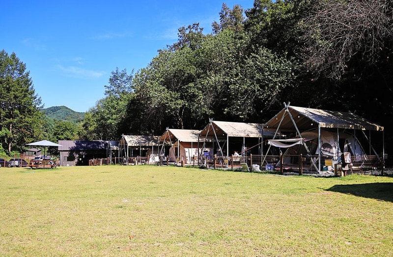 캠핑중DOG 시설 사진 4