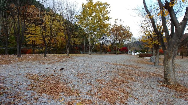 리스캐빈 대표 사진