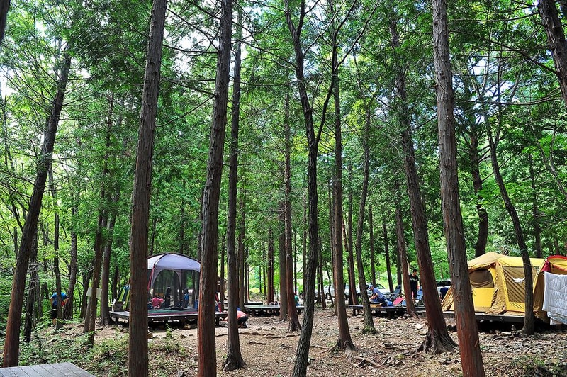 국립남해편백자연휴양림 시설 사진 4