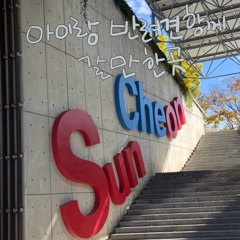순천 애개육아캠핑&여행 (feat.개랭이오토캠핑장 11/11...