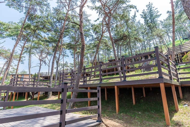 솔향기캠핑장 시설 사진 6