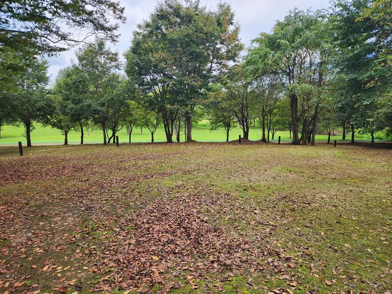 연천 전곡리유적 구석기 체험숲 시설 사진 10