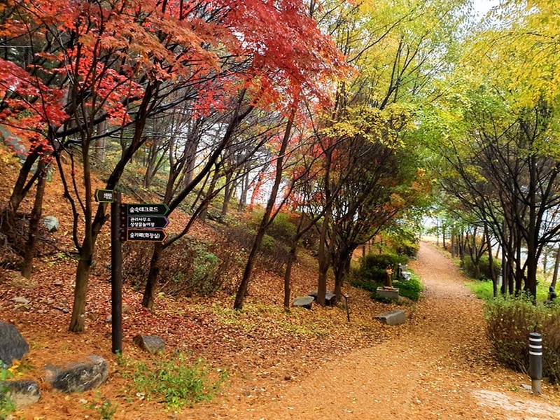 소요별앤숲테마파크 시설 사진 1