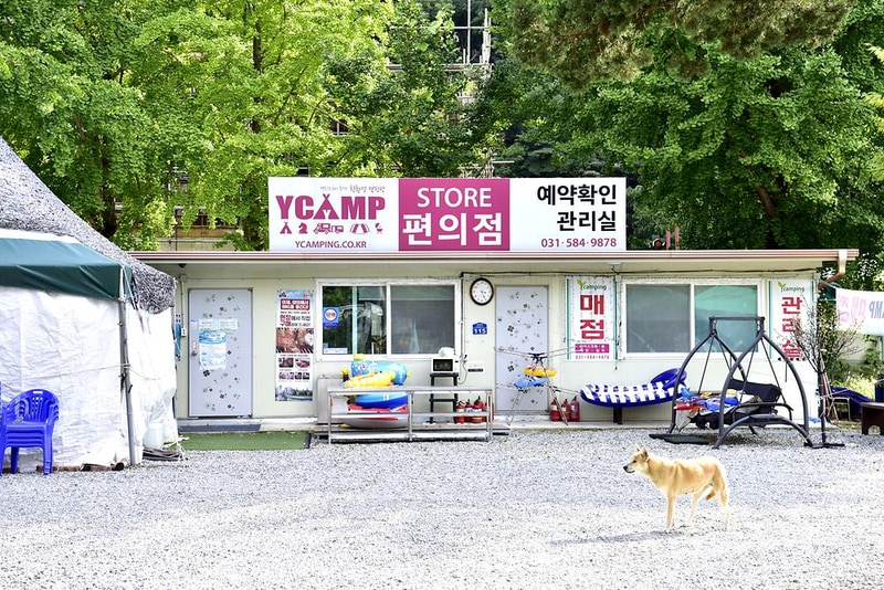 와이캠핑장 시설 사진 11