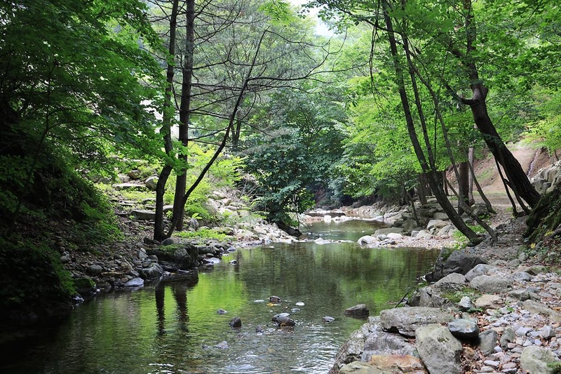 폭포 캠핑 야영장 시설 사진 12