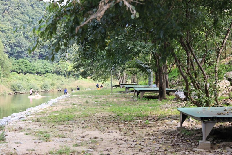 엄소리오토캠핑장 시설 사진 8