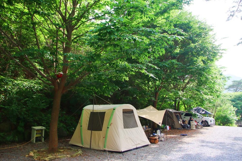 별빛캠핑장 시설 사진 2