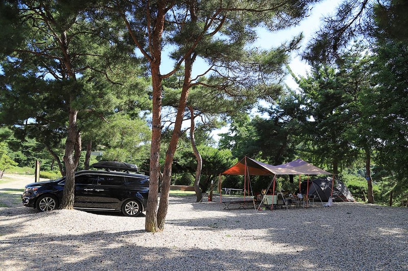 숲속의야영장 시설 사진 35