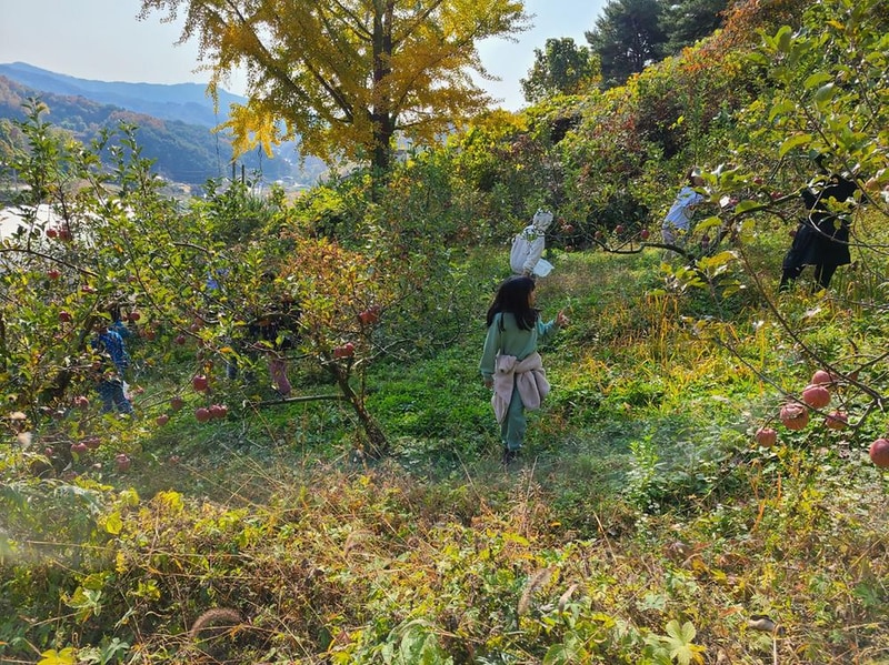 천안 몽각산 힐링뷰 캠핑장 시설 사진 1