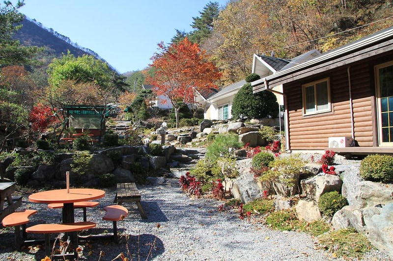 정선 도원펜션&캠핑장 시설 사진 3