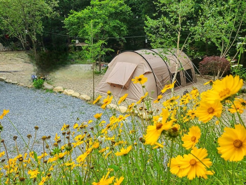 평창 자연속쉼표캠핑장 시설 사진 1