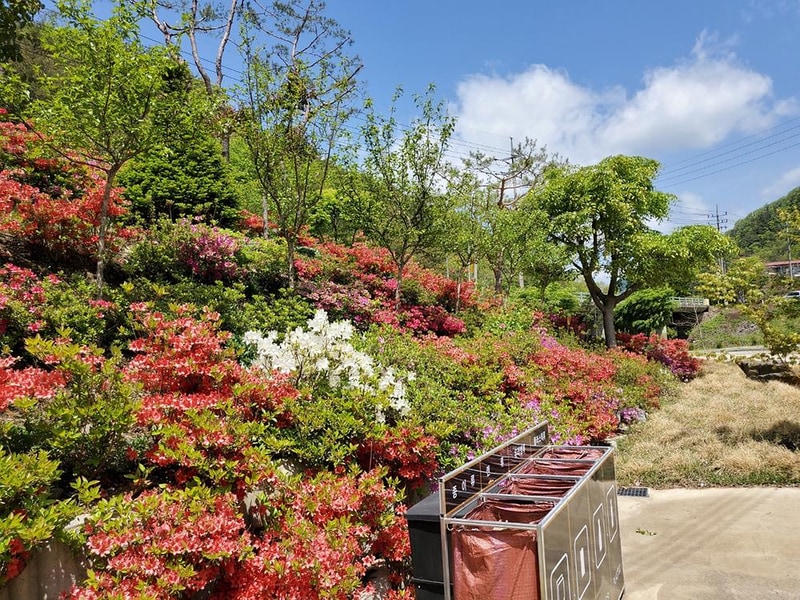 둥지캠핑장 시설 사진 22