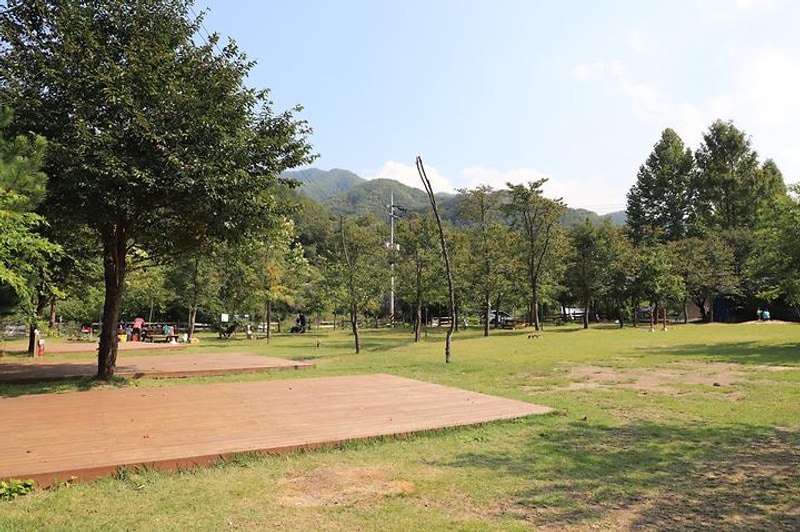 비발디 캠핑파크