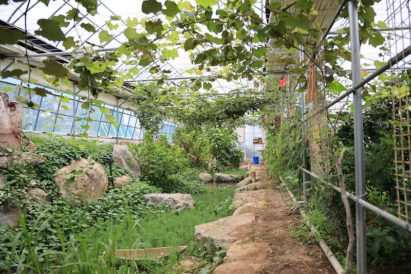 양명힐링캠프 시설 사진 18