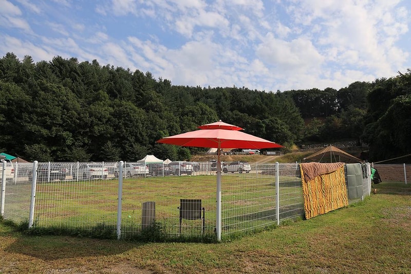 링크독애견파크 글램핑&오토캠핑장 시설 사진 2