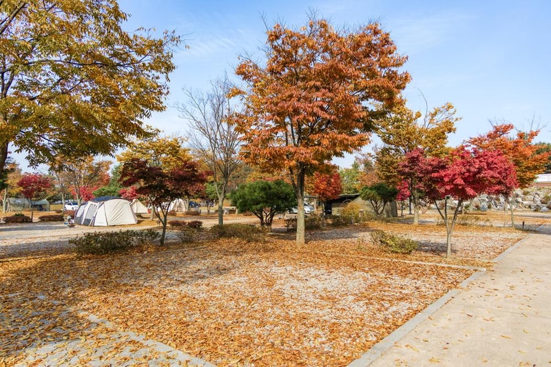 화성시 향남 오토캠핑장 시설 사진 71