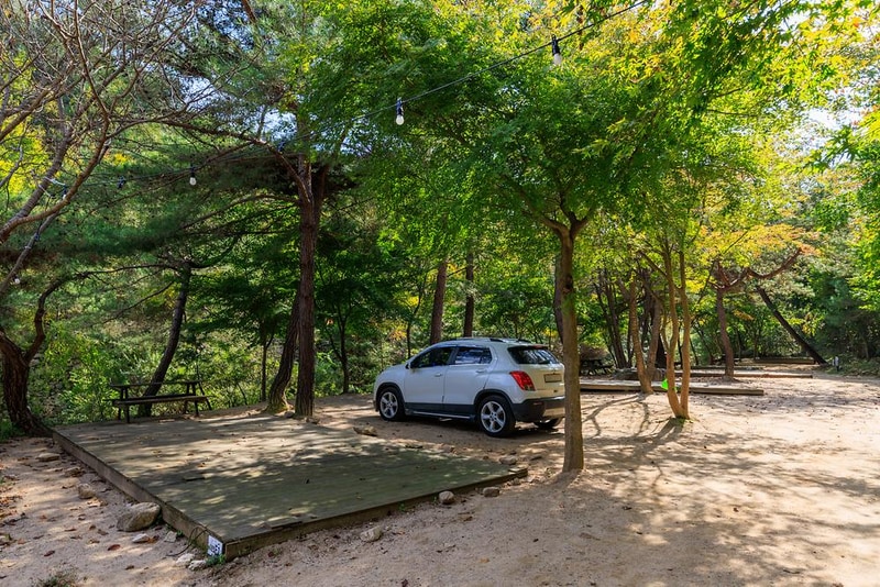 심천치유자연휴양림야영장 시설 사진 15