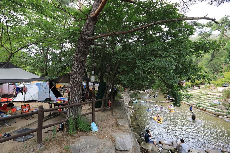 월악산국립공원 닷돈재자동차야영장 시설 사진 6