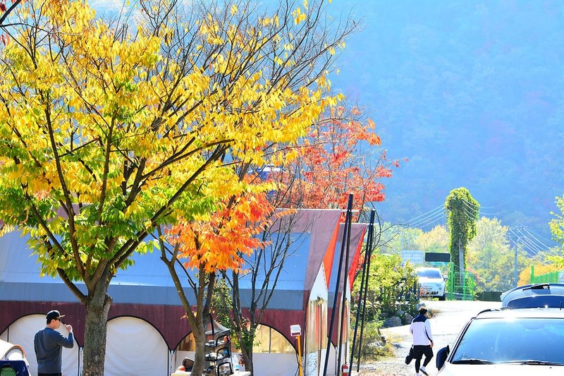 힐링가평오토캠핑장 시설 사진 18