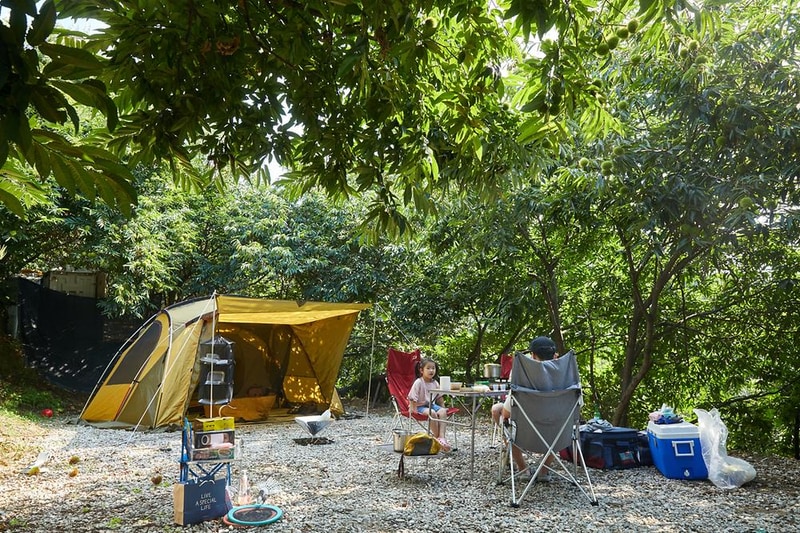 따봉캠핑장 시설 사진 10