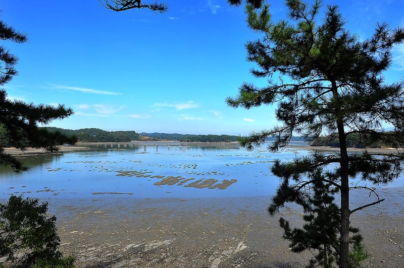 비토 국민여가캠핑장 시설 사진 8
