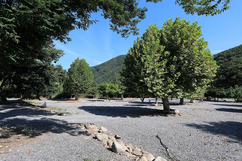 패밀리오토캠핑장(한국전통문화체험학교) 시설 사진 6