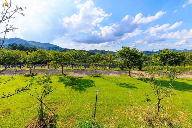 왕산골 관광농원 시설 사진 14