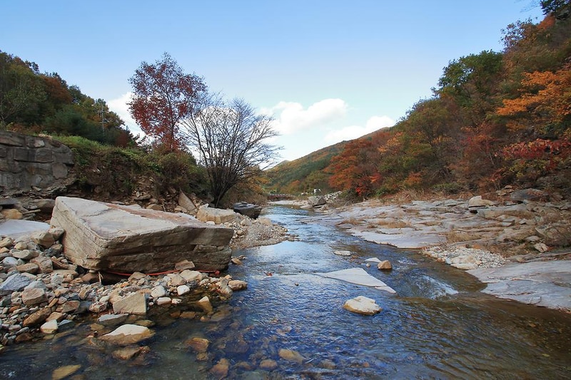 월계수 캠핑장 시설 사진 14
